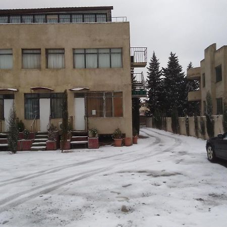 Guesthouse Star Georgia Tbilisi Eksteriør billede